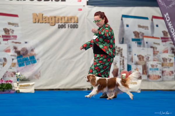 For Pets Cup – Čestná