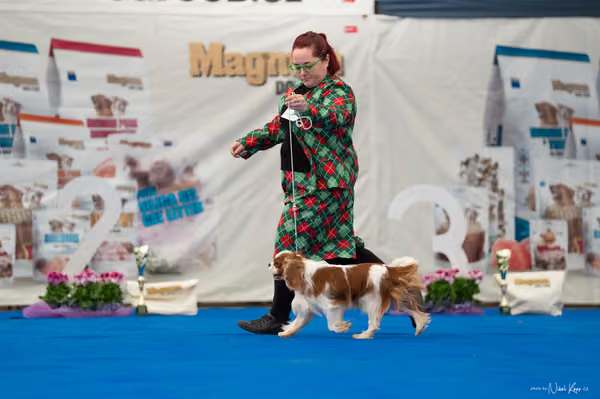 For Pets Cup – Čestná
