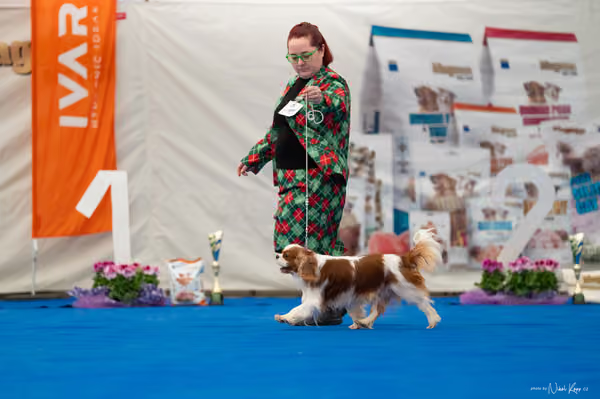 For Pets Cup – Čestná