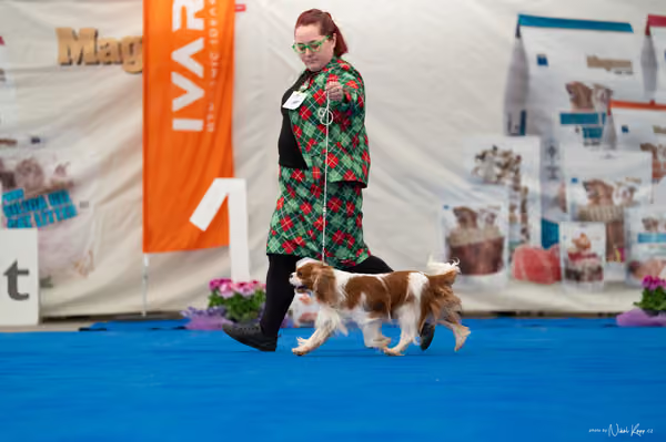 For Pets Cup – Čestná