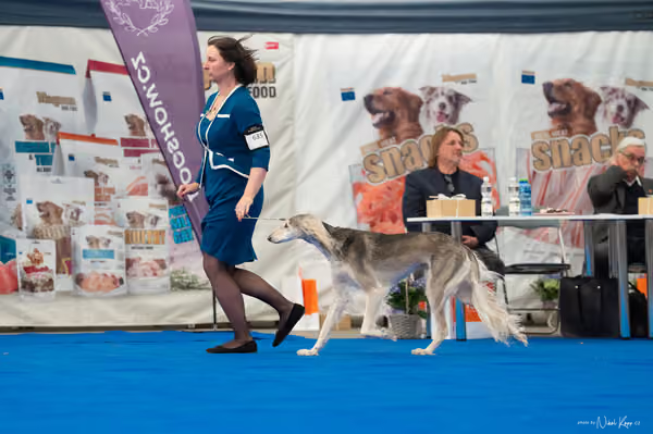For Pets Cup — DSC03158