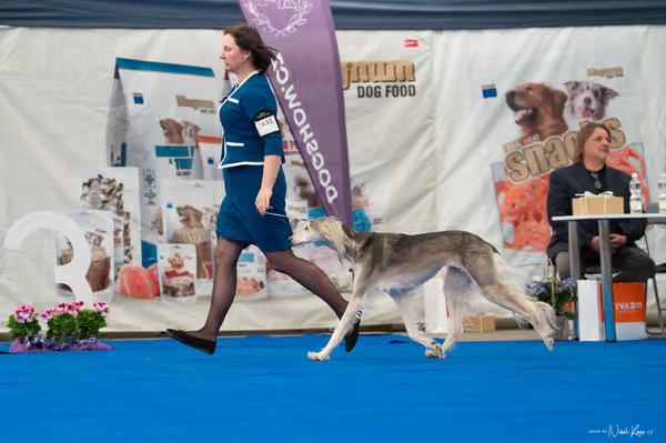 For Pets Cup — DSC03161