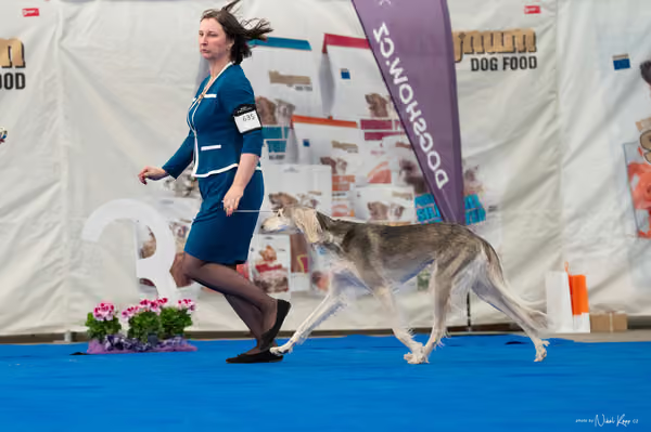 For Pets Cup — DSC03164