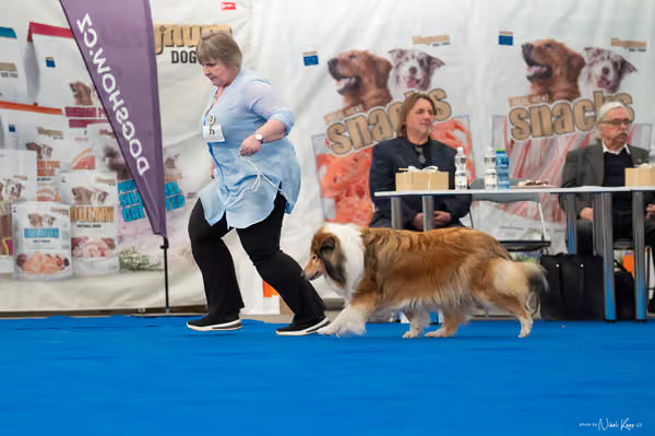 For Pets Cup — DSC03166