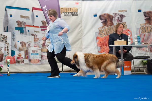 For Pets Cup — DSC03169