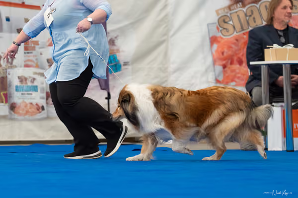 For Pets Cup — DSC03170