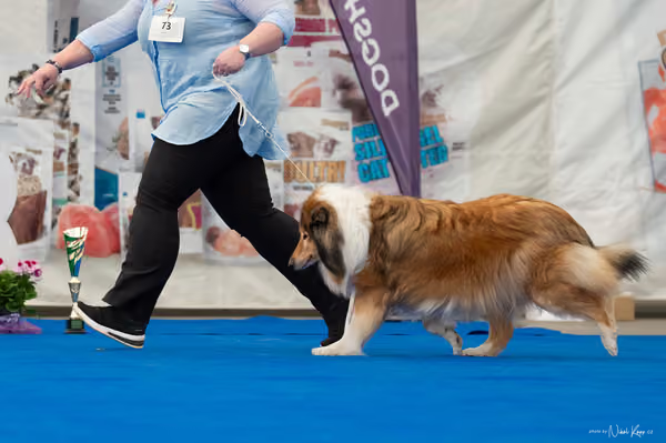 For Pets Cup — DSC03173