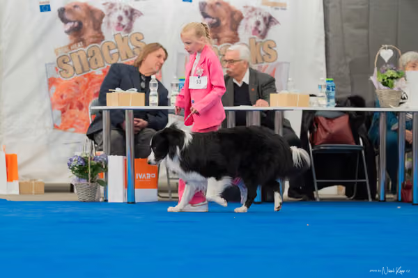 For Pets Cup — DSC03174