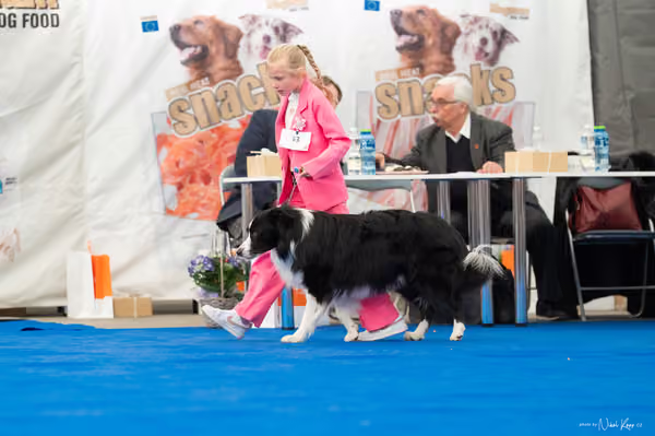 For Pets Cup — DSC03177