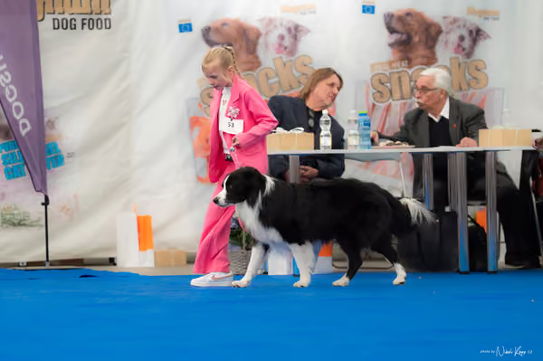 For Pets Cup — DSC03180