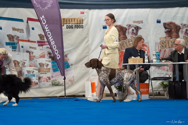For Pets Cup — DSC03183