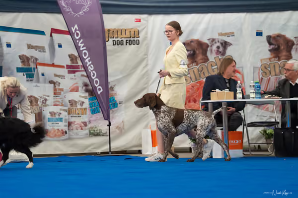 For Pets Cup — DSC03184