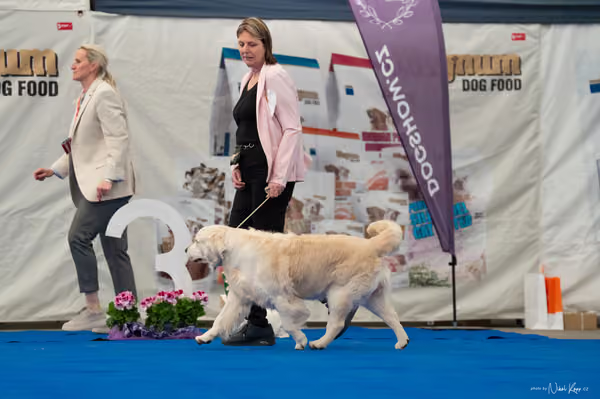 For Pets Cup — DSC03187