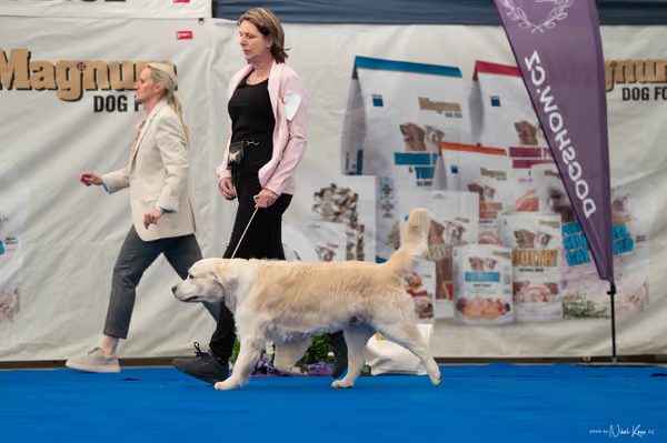 For Pets Cup — DSC03191