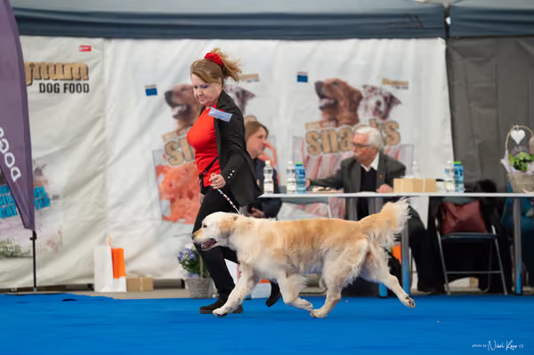 For Pets Cup — DSC03193