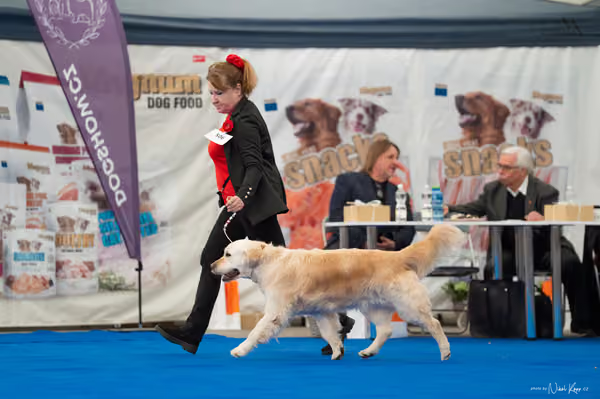 For Pets Cup — DSC03196