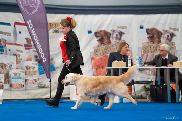 For Pets Cup — DSC03197