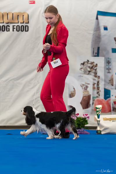 For Pets Cup — DSC03209