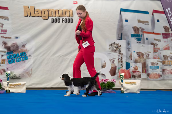 For Pets Cup — DSC03210