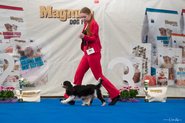 For Pets Cup — DSC03212