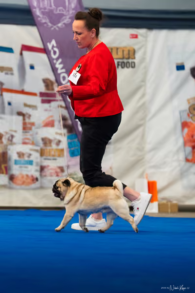 For Pets Cup – Čestná