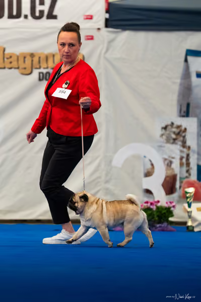 For Pets Cup – Čestná