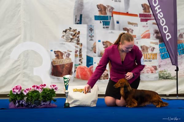 For Pets Cup – Čestná