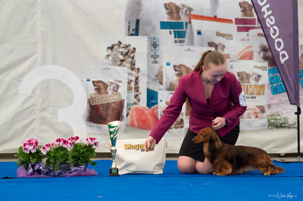 For Pets Cup – Čestná