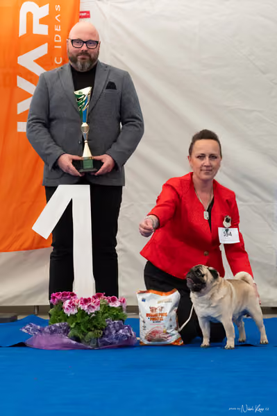 For Pets Cup – Čestná