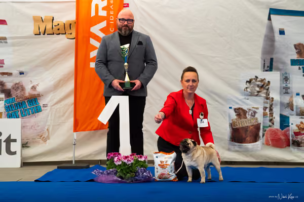 For Pets Cup – Čestná