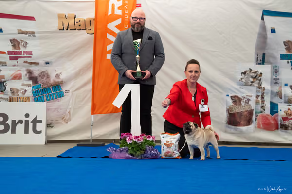 For Pets Cup – Čestná