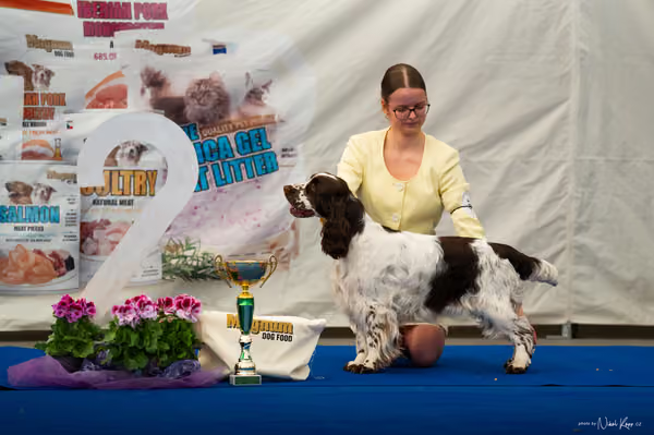 For Pets Cup – MLADÁ FENA