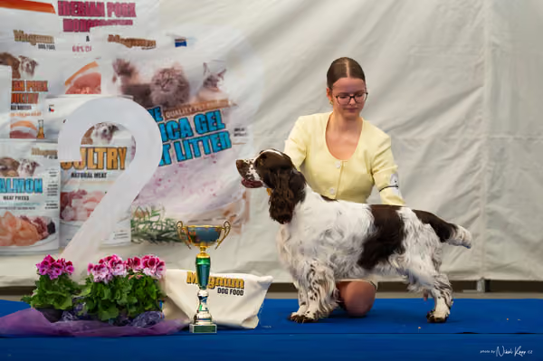 For Pets Cup – MLADÁ FENA