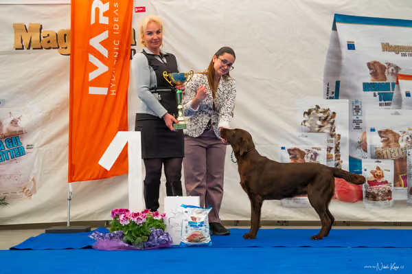 For Pets Cup – MLADÁ FENA