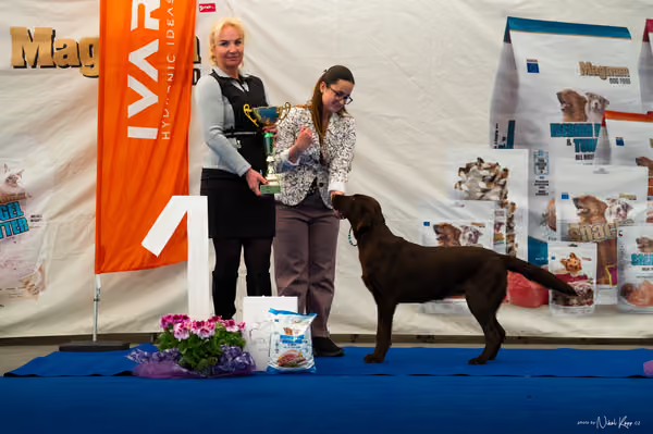 For Pets Cup – MLADÁ FENA