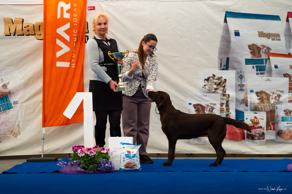 For Pets Cup – MLADÁ FENA