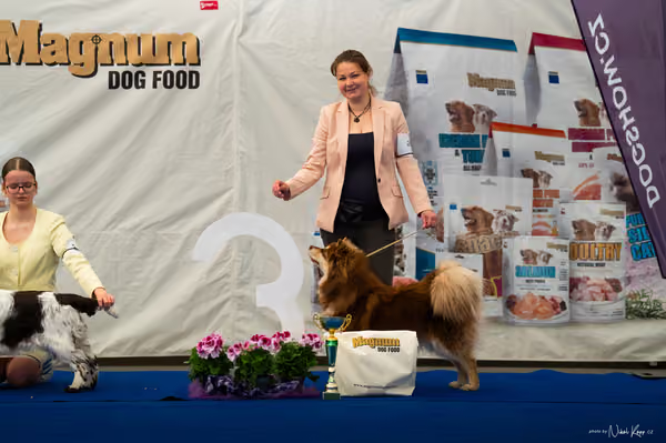 For Pets Cup – MLADÁ FENA