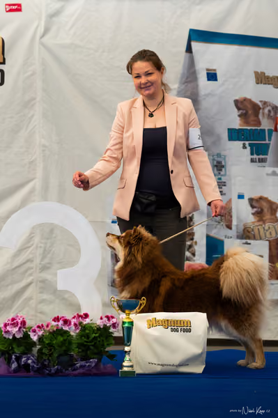 For Pets Cup – MLADÁ FENA