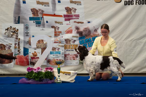 For Pets Cup – MLADÁ FENA