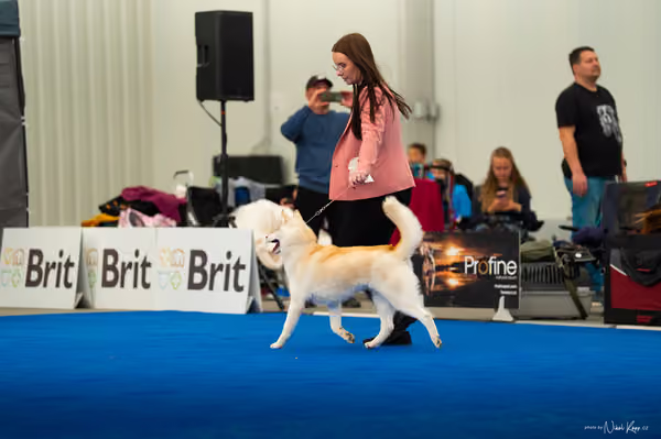 For Pets Cup — DSC03703