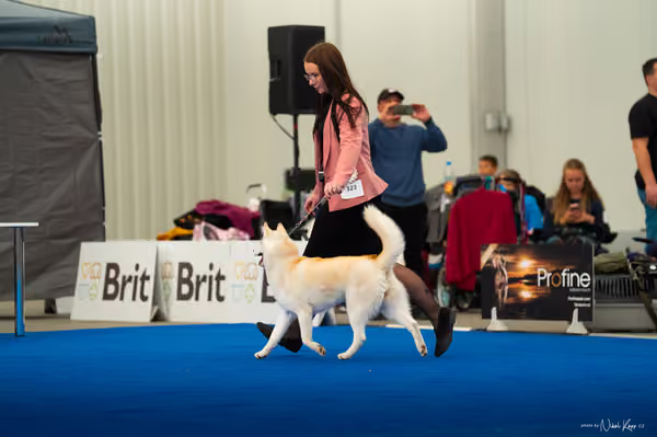 For Pets Cup — DSC03706