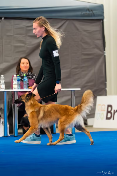For Pets Cup — DSC03711
