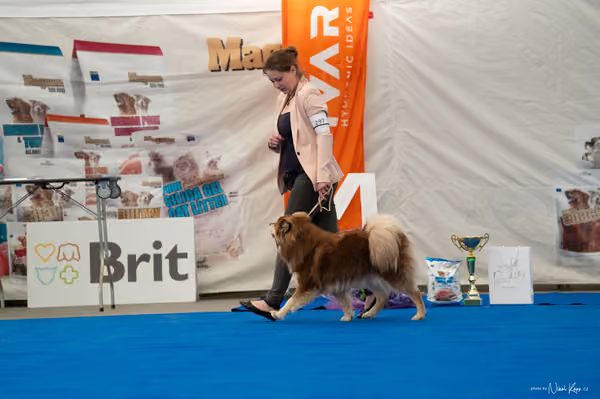 For Pets Cup — DSC03716