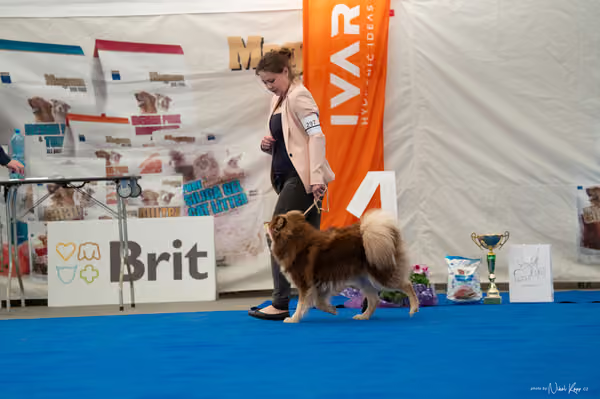 For Pets Cup – MLADÁ FENA