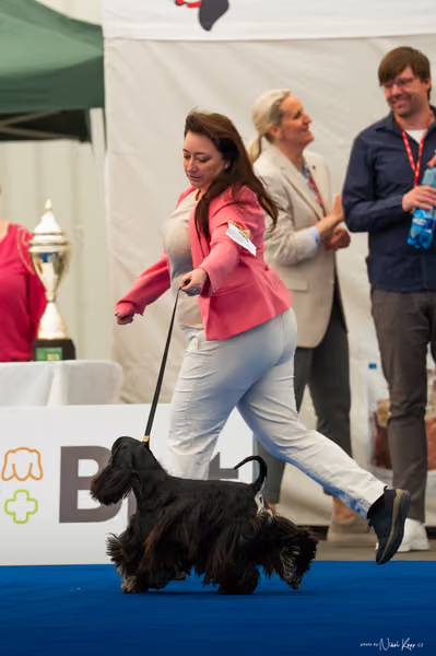 For Pets Cup – MLADÁ FENA
