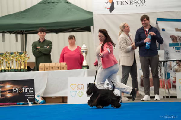 For Pets Cup – MLADÁ FENA