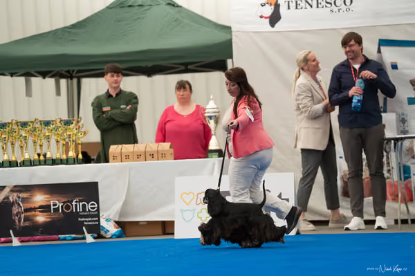 For Pets Cup – MLADÁ FENA