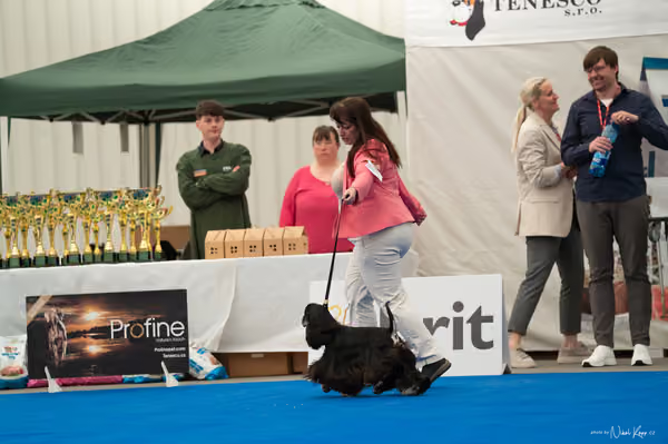 For Pets Cup – MLADÁ FENA