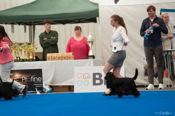 For Pets Cup – MLADÁ FENA