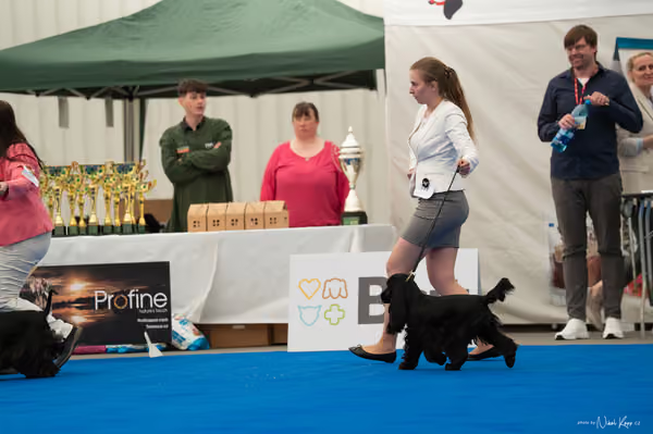 For Pets Cup – MLADÁ FENA